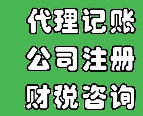 嵩县代理记账服务价格 口碑推荐 河南启资未来信息技术供应